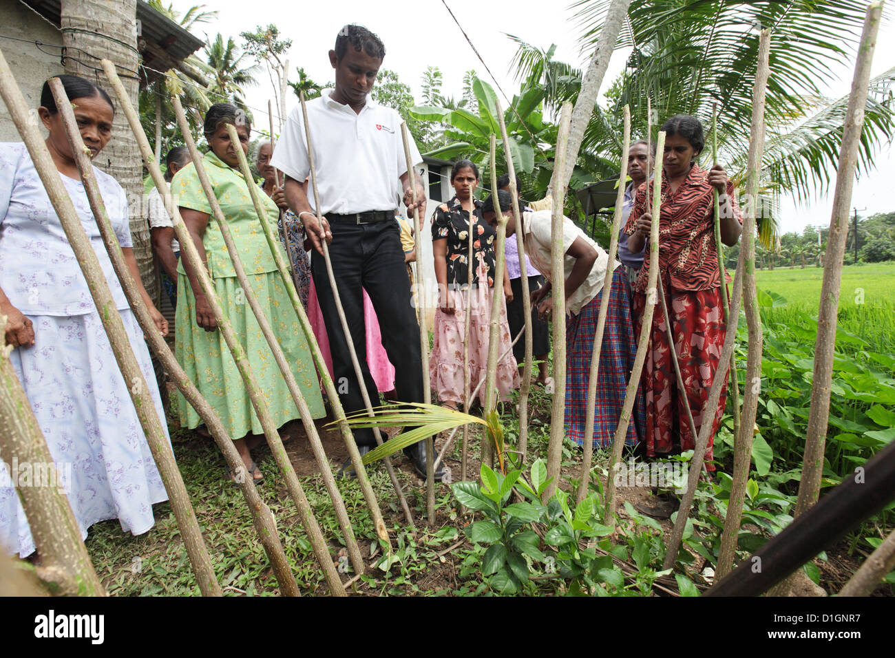 Ambalangoda, Sri Lanka, Malta Women Leaders explains the production of compost plants Stock Photo