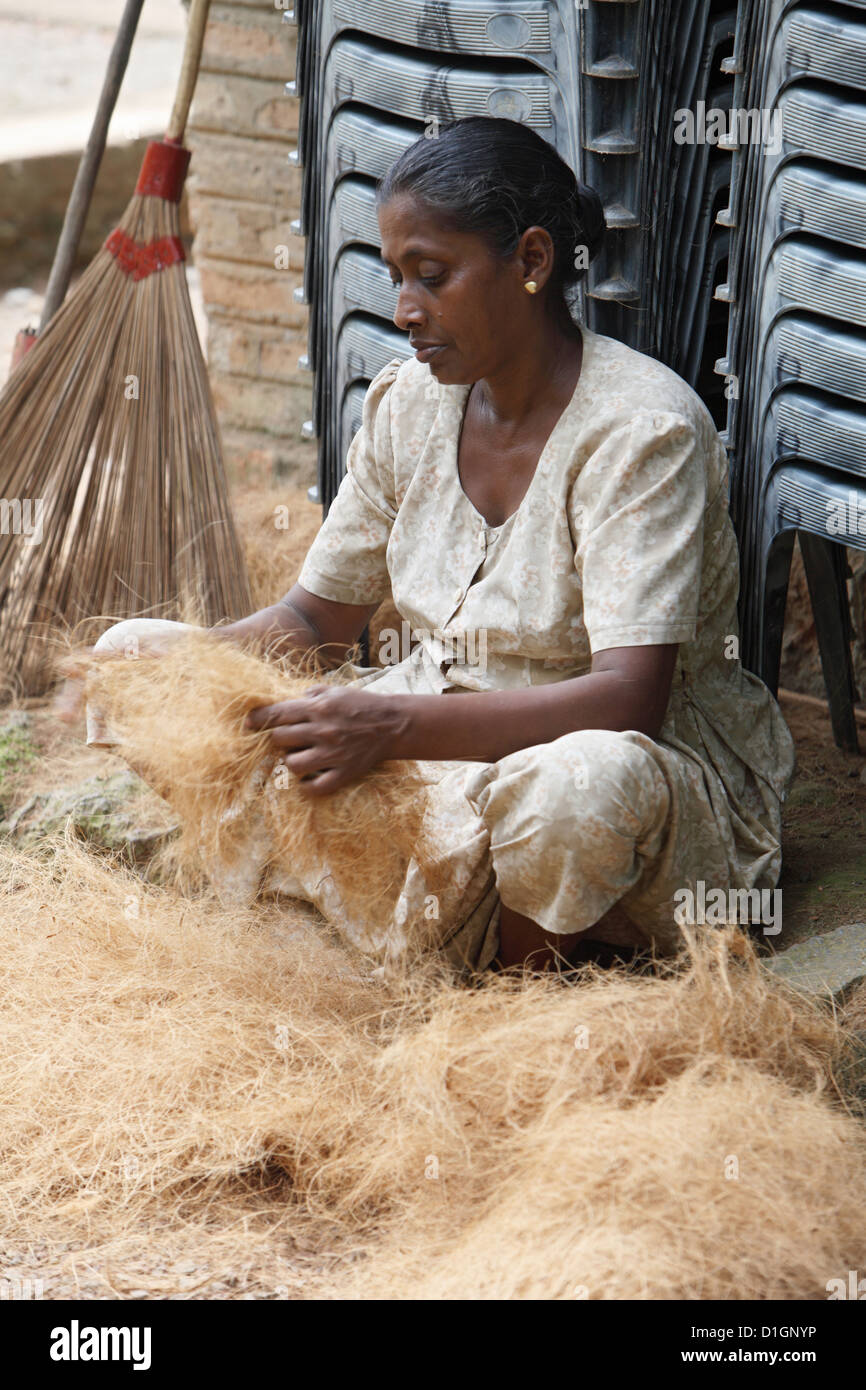 Ambalangoda, Sri Lanka, a woman prepares for coconut fiber before the
