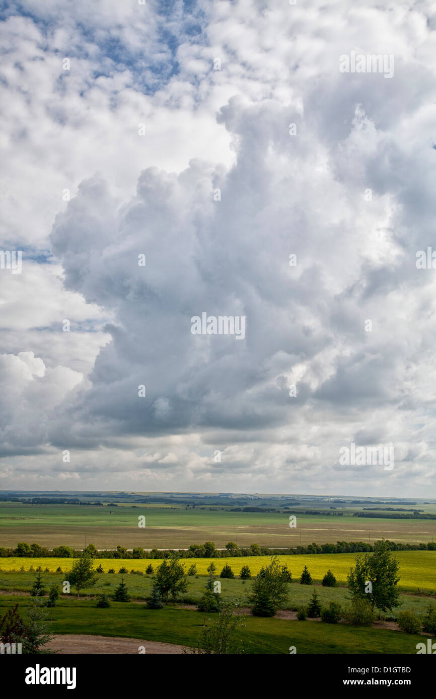 White Puffy Clouds of the prairies of Alberta, big sky over the green fields and pasture land. Central Alberta Canada Stock Photo