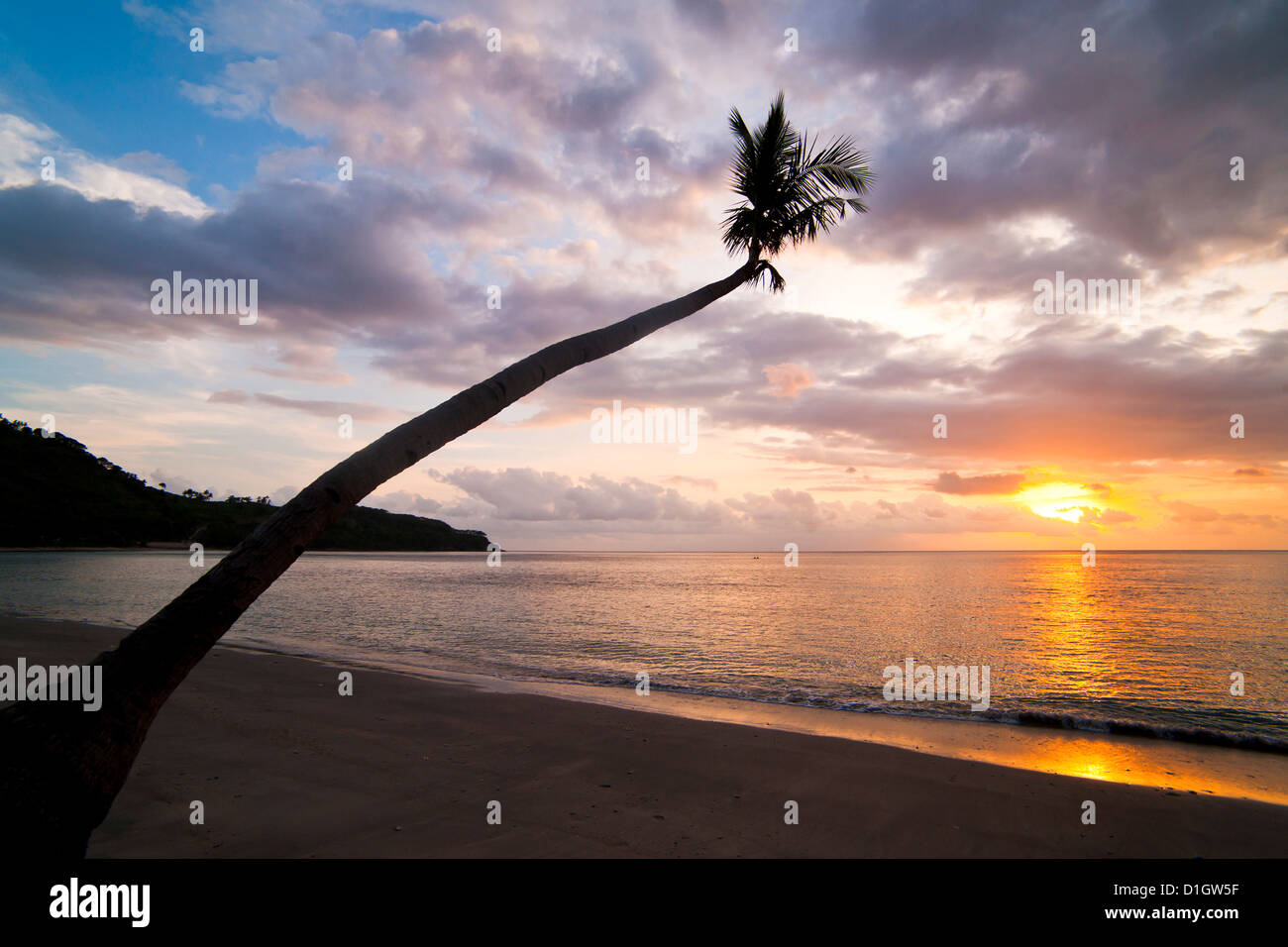 Overhanging palm tree at Nippah Beach at sunset,l Lombok Island, Indonesia, Southeast Asia, Asia Stock Photo