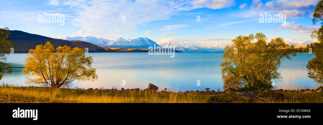 Panorama of autumn trees at Lake Tekapo, Canterbury, Southern Lakes, South Island, New Zealand, Pacific Stock Photo