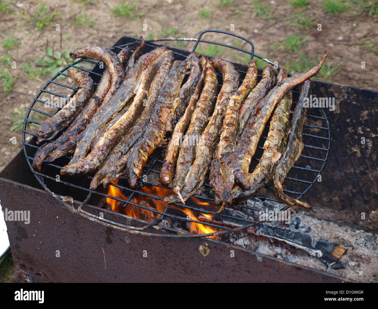 Fried lamprey on the firing grill, close up Stock Photo