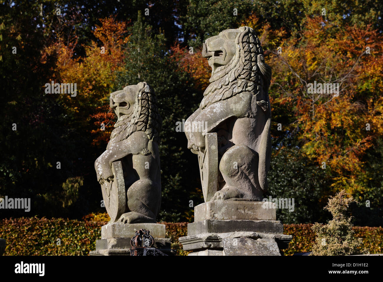 Pair of Sandstone Lions at Pollok House run by the National Trust For Scotland, Pollok Country Park, Glasgow, Scotland, UK Stock Photo