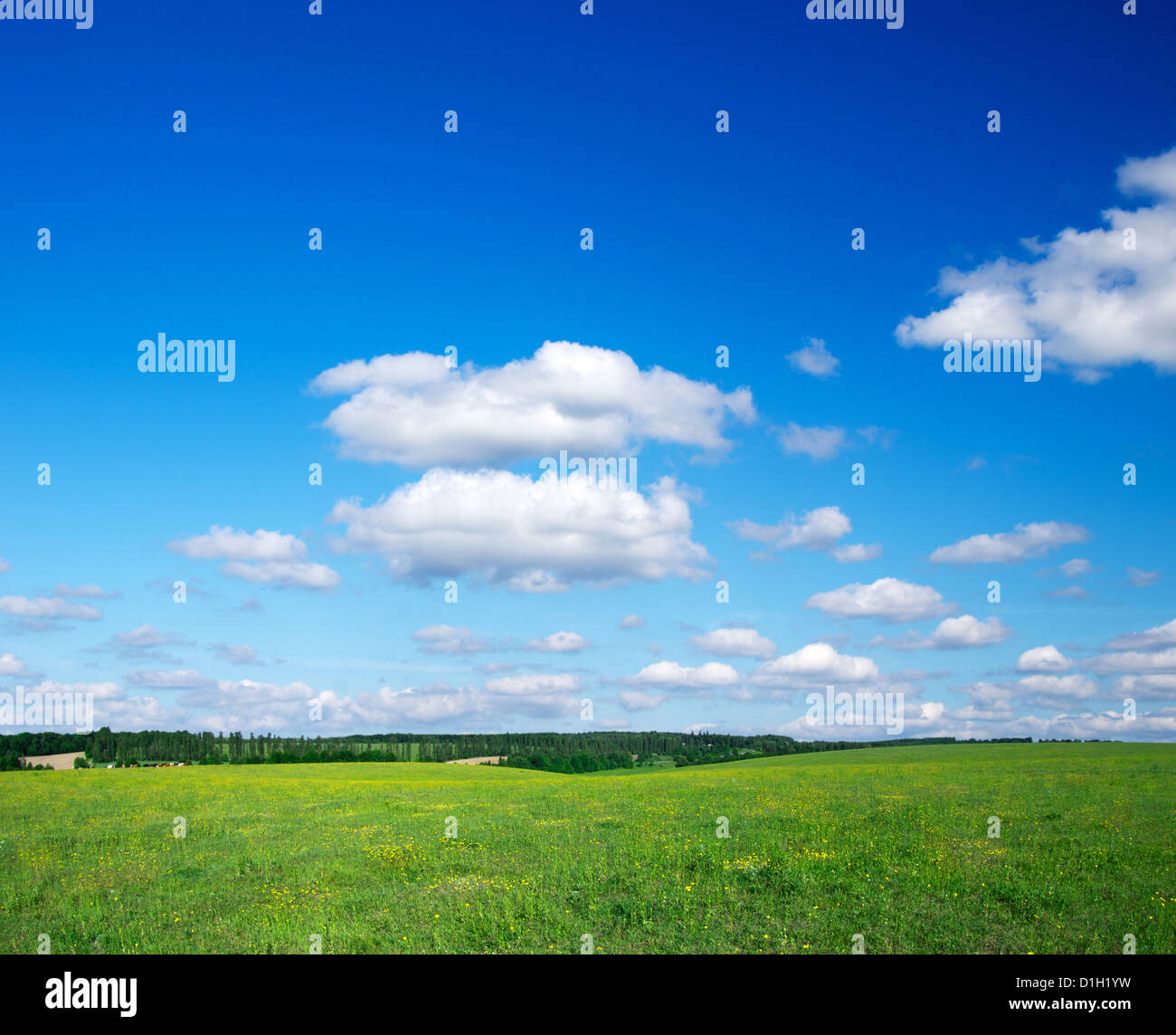green field and blue sky Stock Photo - Alamy