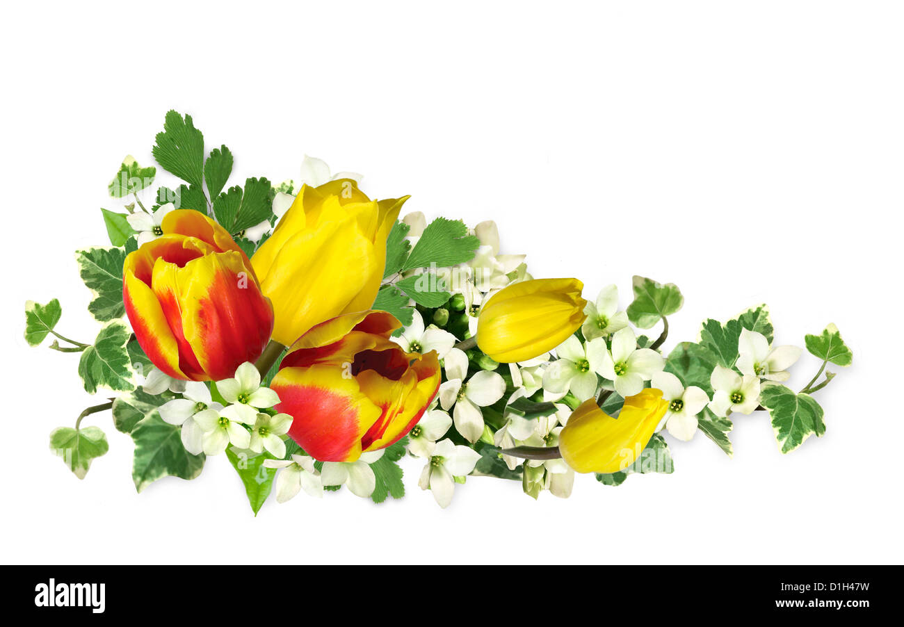 Frame made ​​of flowers cutout on white background Stock Photo - Alamy