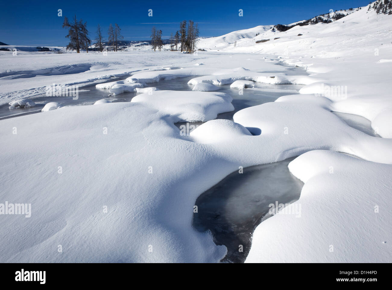 WY00173-00...WYOMING - Frozen Lamar River in the Lamar Valley of Yellowstone National Park. Stock Photo