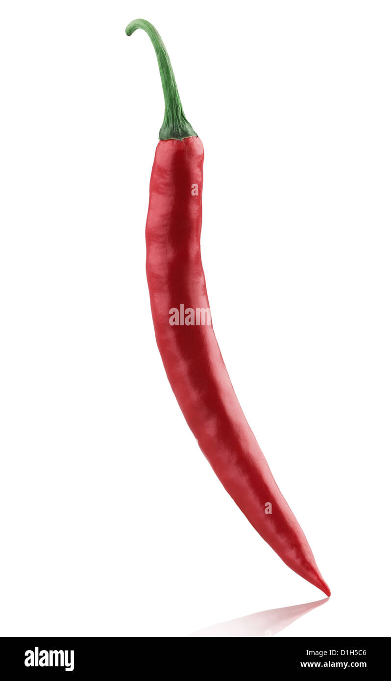 Red chili freshness from organic farm ready to cooking Stock Photo