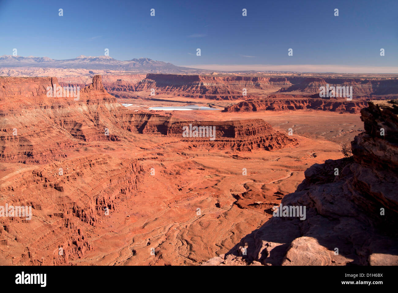 Dead Horse Point Overlook at Dead Horse Point State Park, Moab, Utah, United States of America, USA Stock Photo