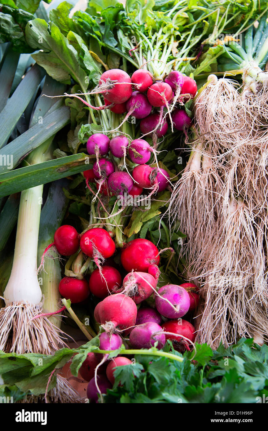 Farmers market, Martha's Vineyard, Massachusetts, USA Stock Photo Alamy