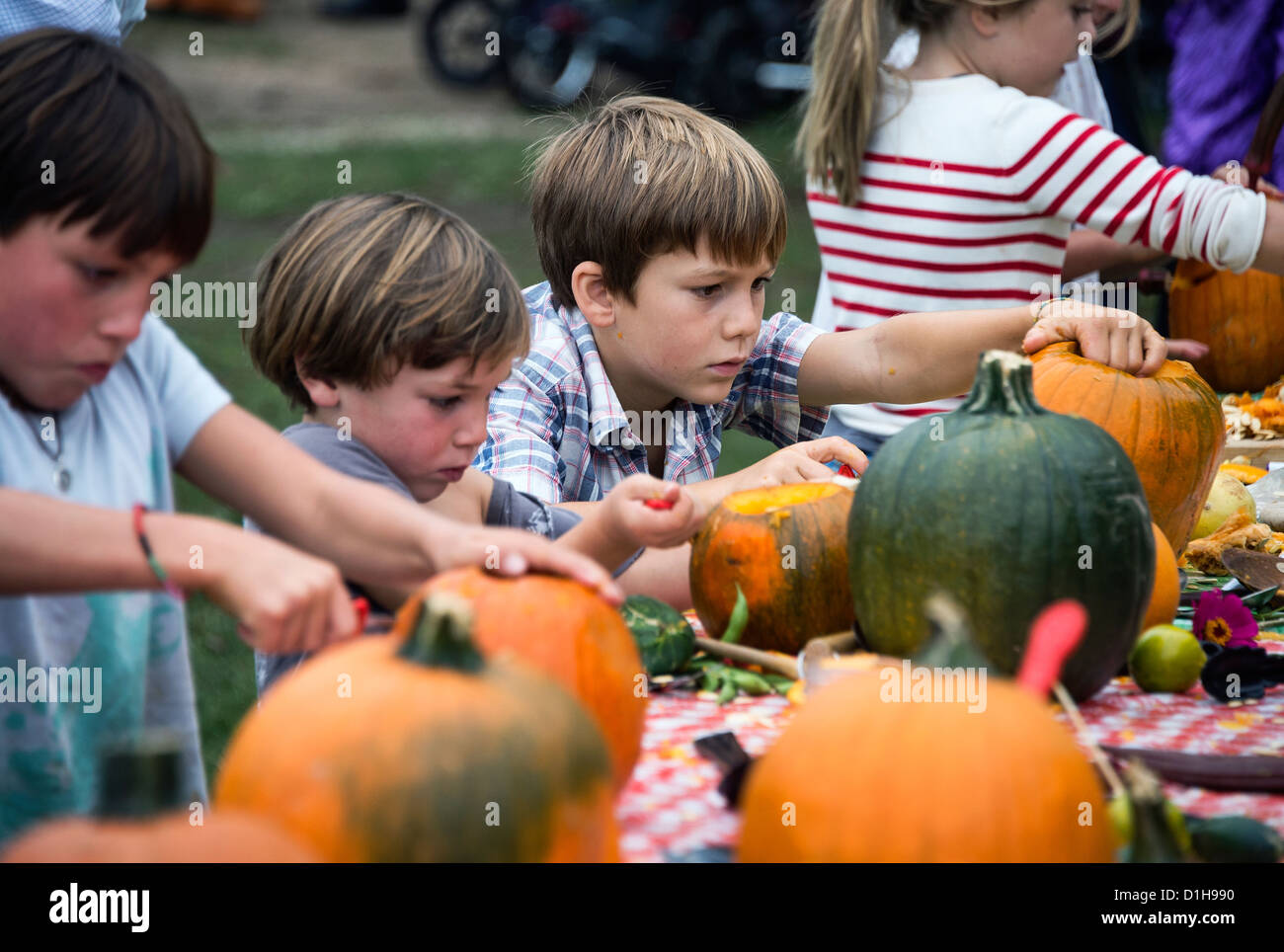 Pumpkin carving at the Martha's Vineyard Harvest fest, West Tisbury, Massachusetts, USA Stock Photo