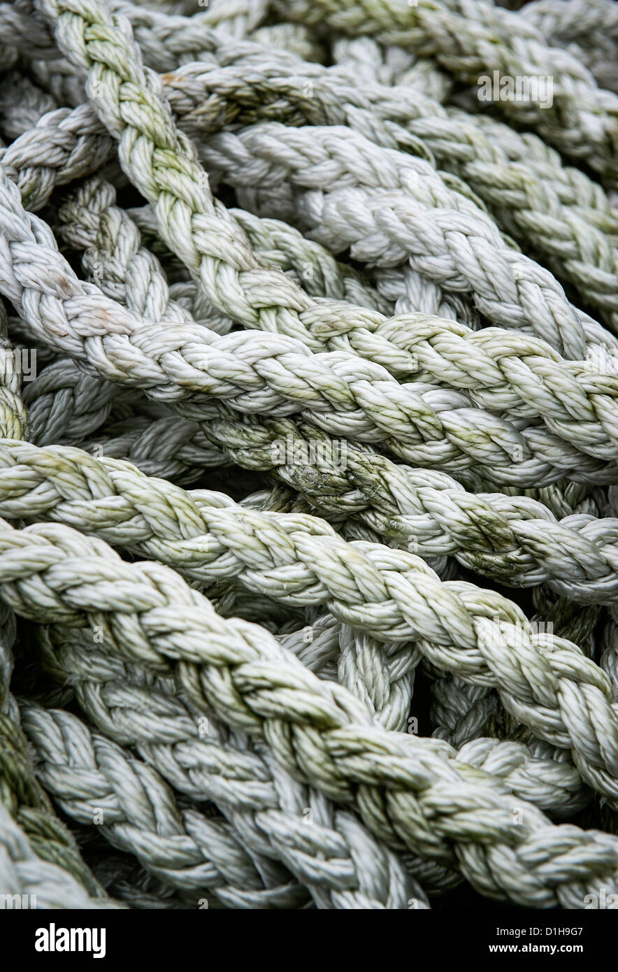 Nautical rope. Stock Photo