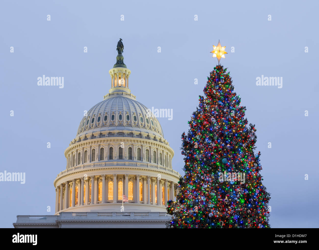 Christmas tree in early evening as sun setting over Washington DC with the Capitol Building in the background Stock Photo
