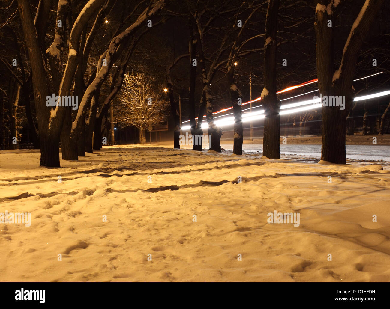 avenue at winter night Stock Photo
