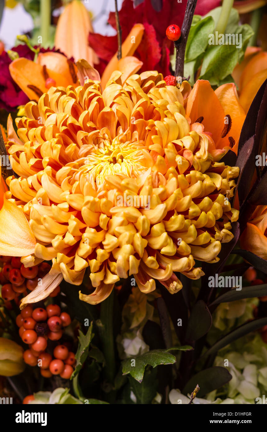 A bronze chrysanthemum flower in a floral arrangement Stock Photo - Alamy, image size:860x1390