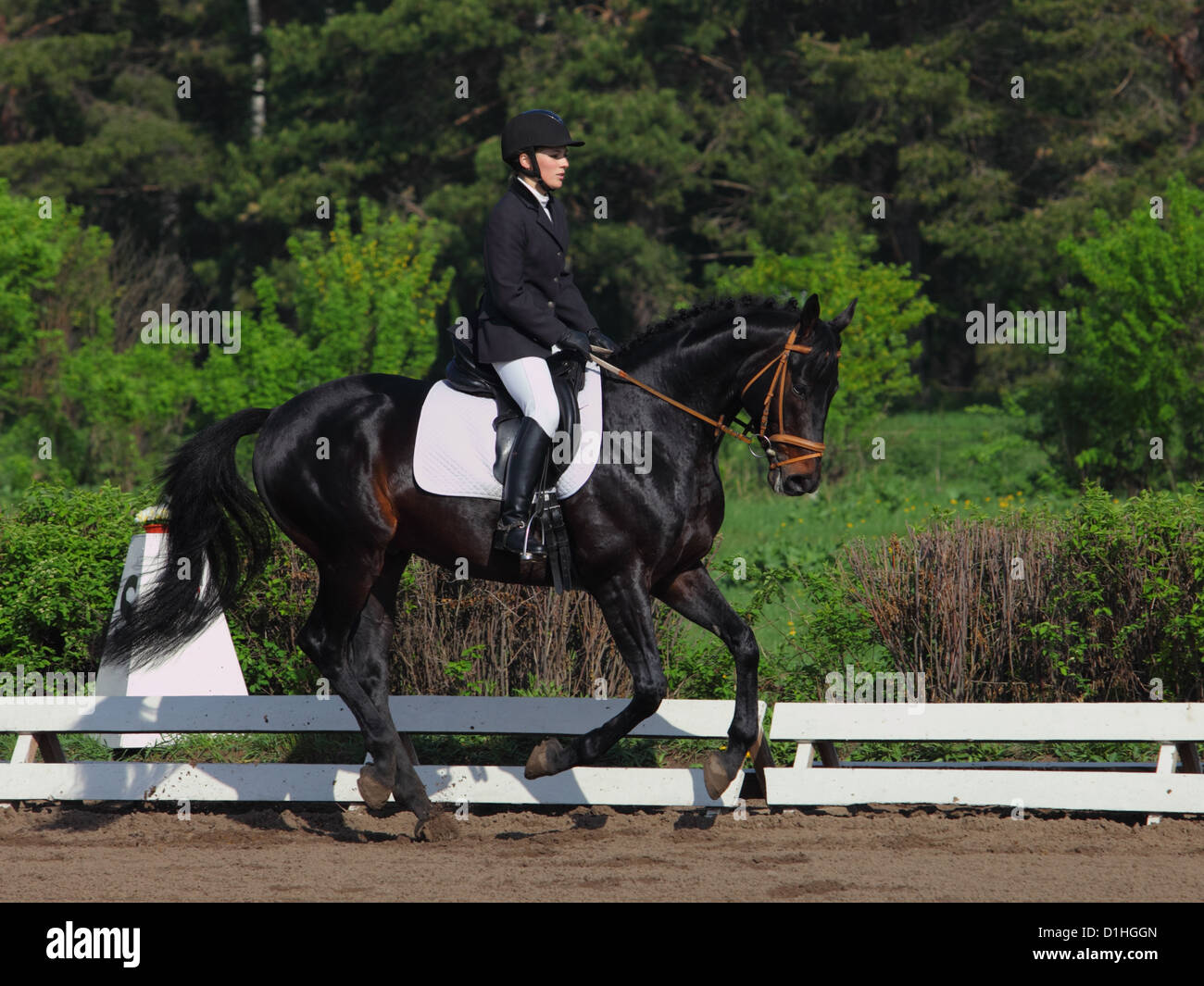 Horse and Rider in an English riding saddle entered in horse Dressage part of an Eventing Competition Event Stock Photo