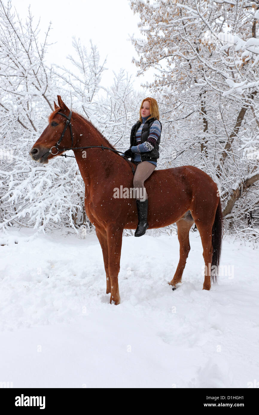 Young woman riding horse through a snowy park Stock Photo