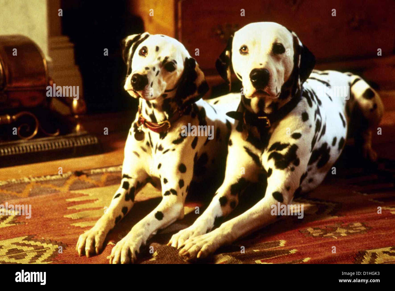 101 Dalmatians 1996 High Resolution Stock Photography And Images Alamy