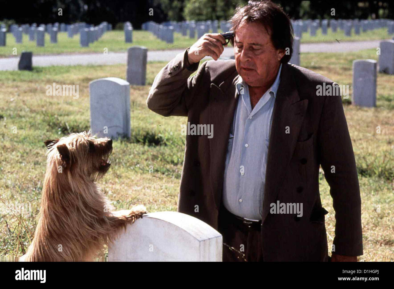 2 Tage In L.A. 2 Days In Valley Paul Mazursky Der lebensmuede Hollywood-Regisseur Peppers (Paul Mazursky). *** Local Caption Stock Photo