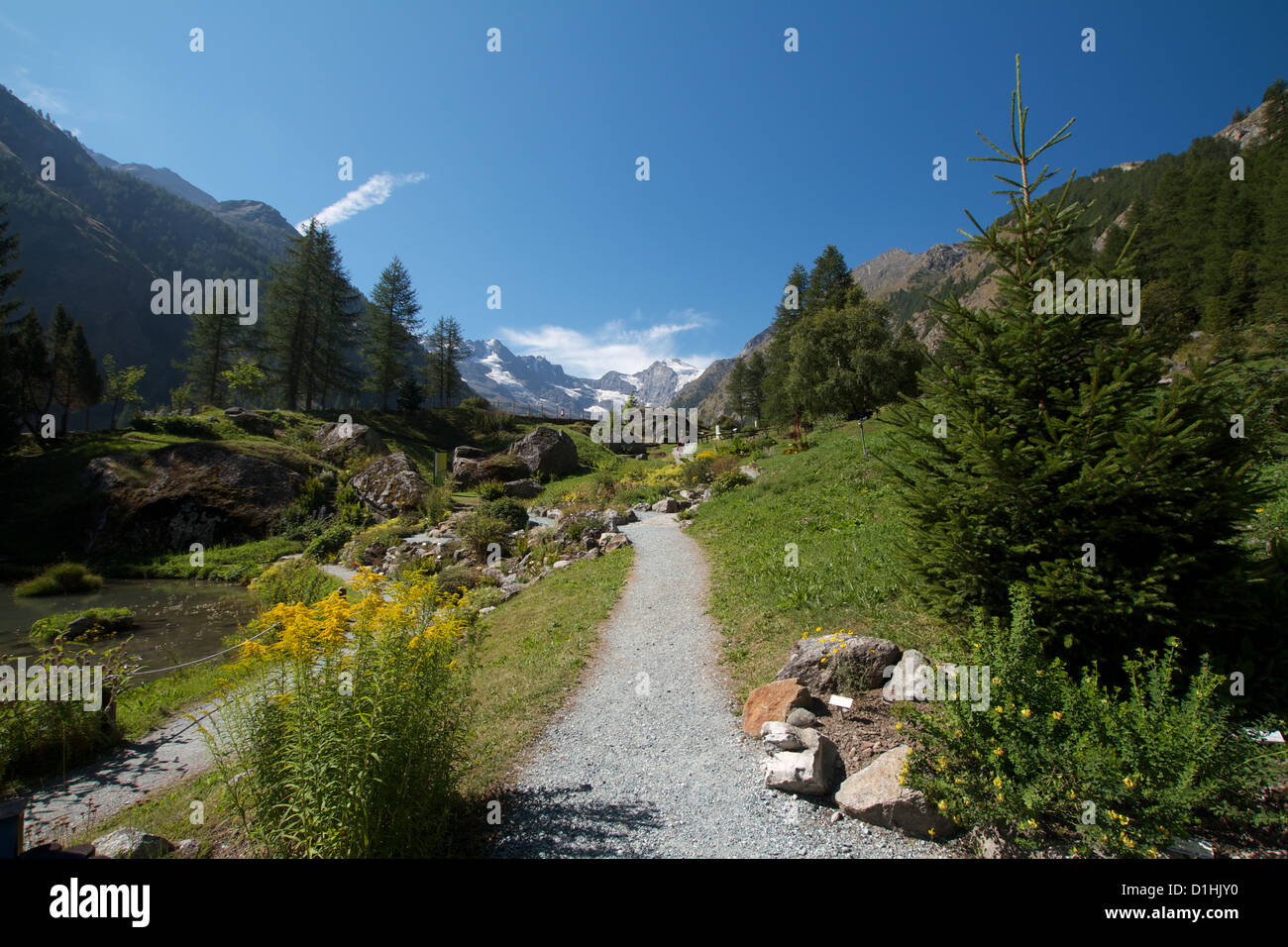 Botanic garden - Valnontey Aosta Valley Stock Photo
