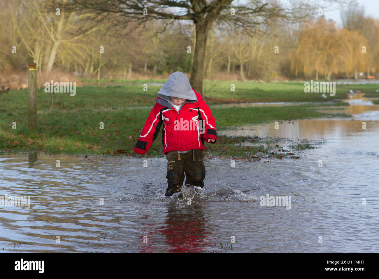 Braintree, Essex, UK. Sunday 23 December 2012. A young boy wades through the floodwaters at Blackwater local nature reserve after the River Blackwater burst it banks due to heavy rain over the weekend. Stock Photo