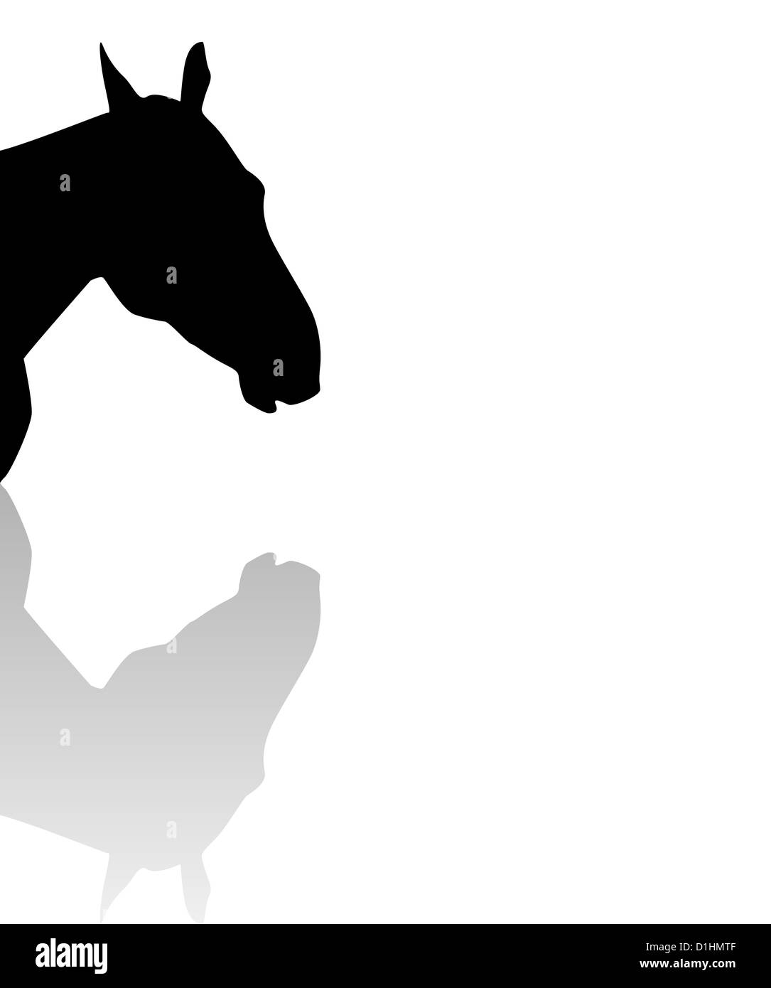 sillhouette of a horse head with reflection Stock Photo