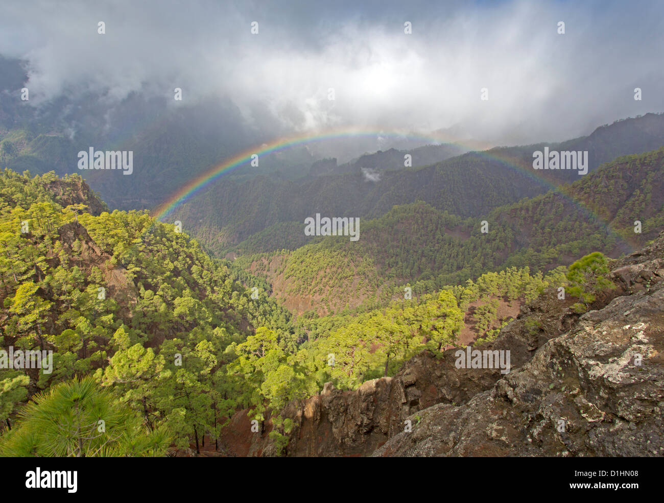 Caldera de Taburiente National Park, La Palma, Canary Islands, Spain Stock Photo