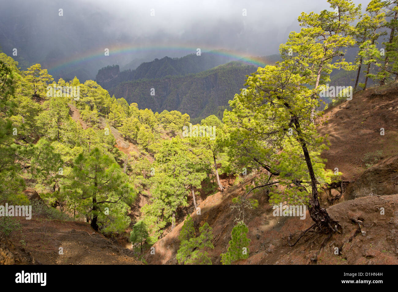 Caldera de Taburiente National Park, La Palma, Canary Islands, Spain Stock Photo