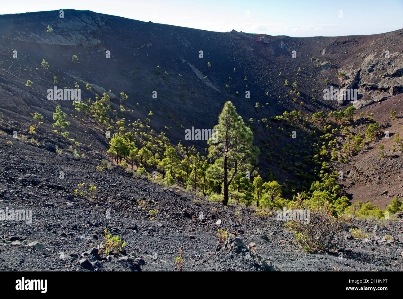 Volcanic crater San Antonio, La Palma, Spain Stock Photo