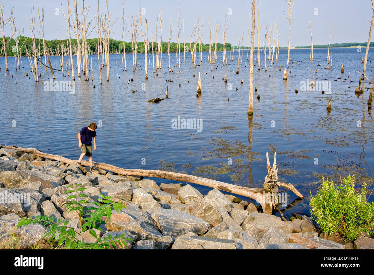 A reservoir with a boy exploring the shoreline. The reservoir is