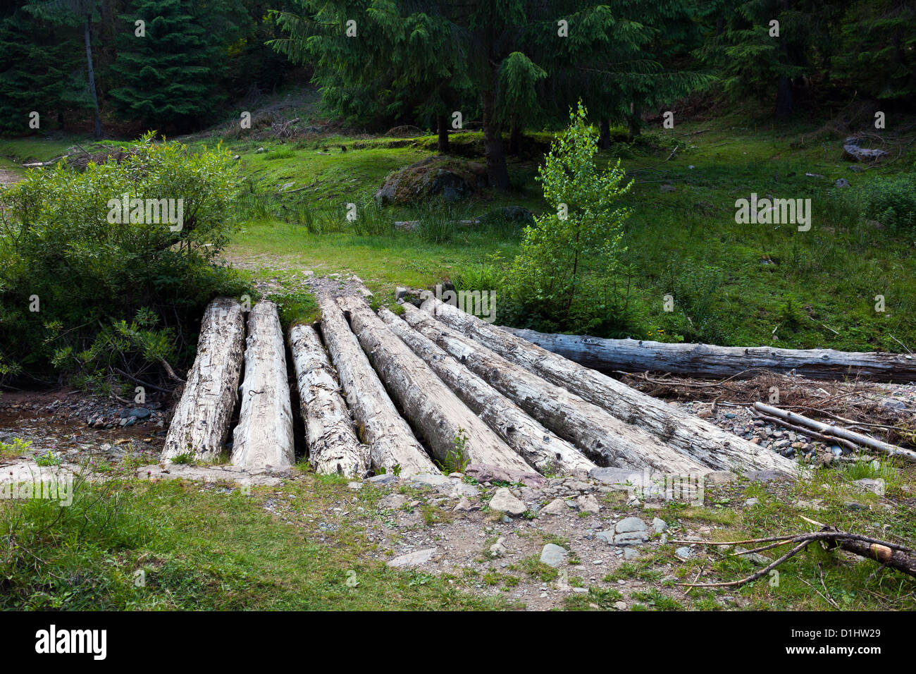 Wooden bridge over a creek in the forest Stock Photo - Alamy