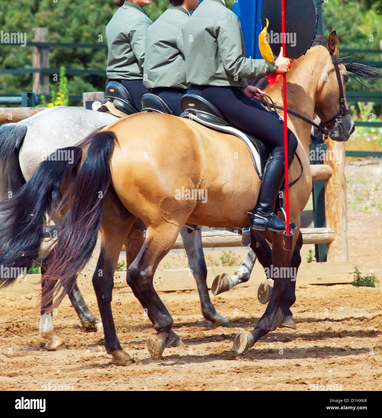 spanish rural show with horses. Andalusia, Spain Stock Photo