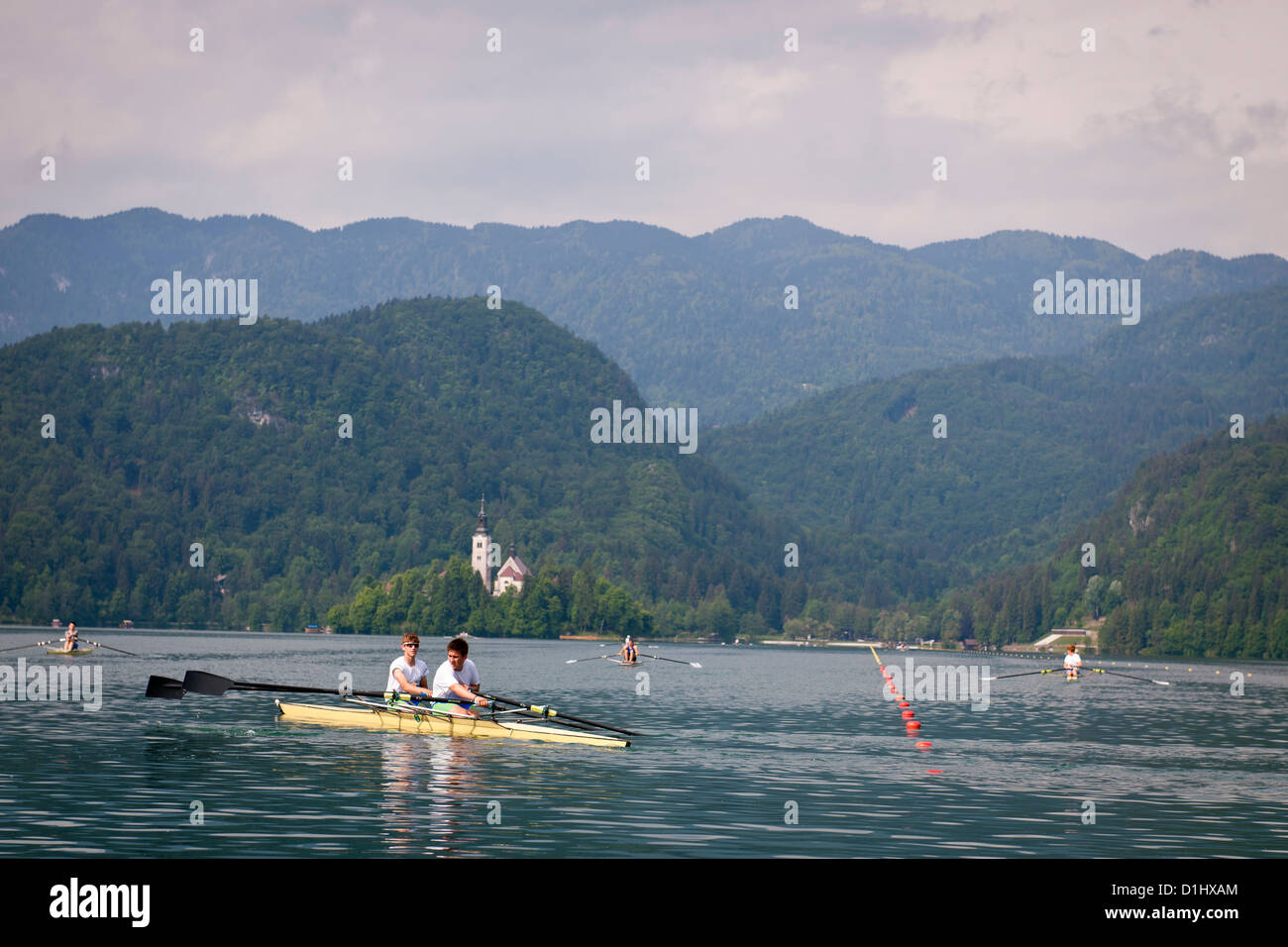 Rowers on Lake Bled, Slovenia Stock Photo - Alamy