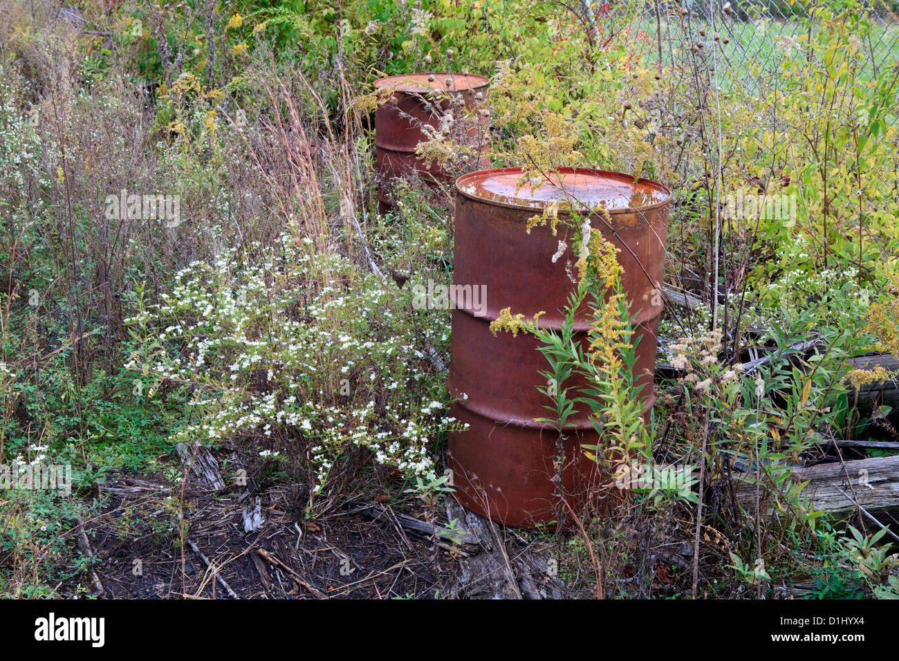 44 gallon steel drums in field