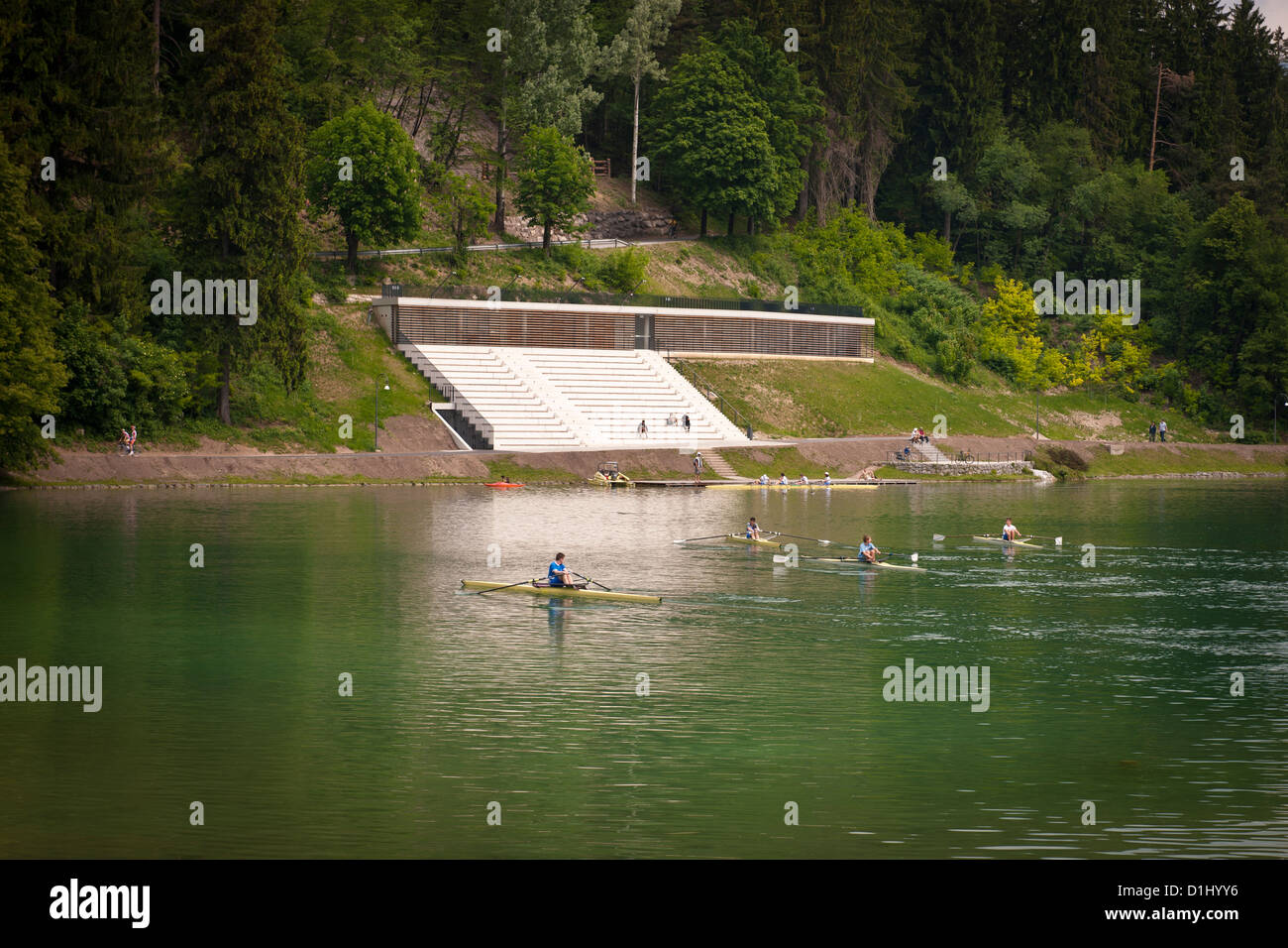Rowers on Lake Bled, Slovenia Stock Photo - Alamy