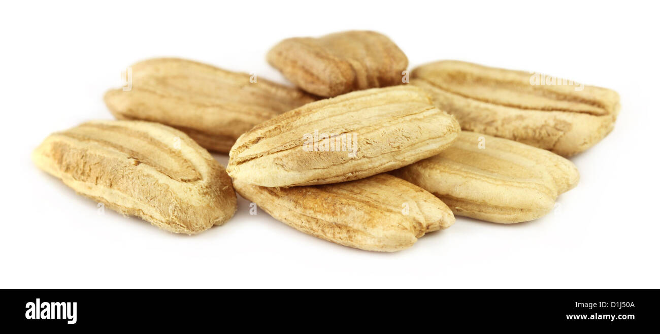 Seeds of bottle gourd over white background Stock Photo