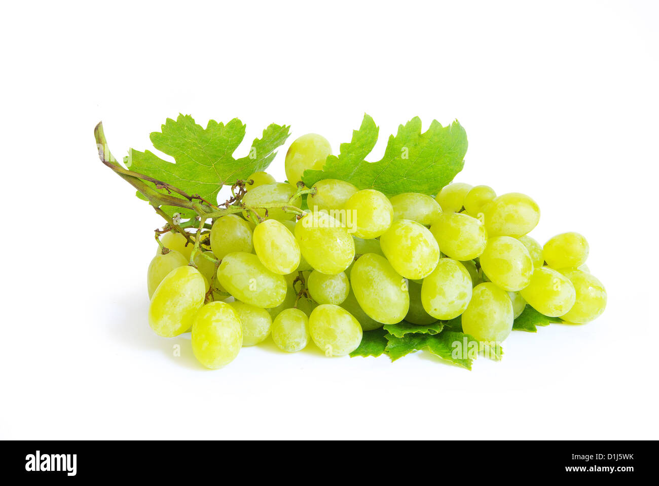grape with green leaves isolated on white background Stock Photo