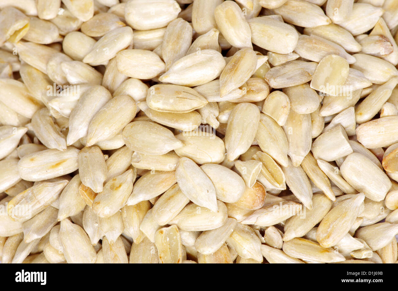 Roasted sunflower hi-res stock photography and images - Alamy