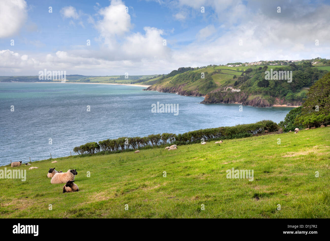 Devonshire coastline in Summer Stock Photo