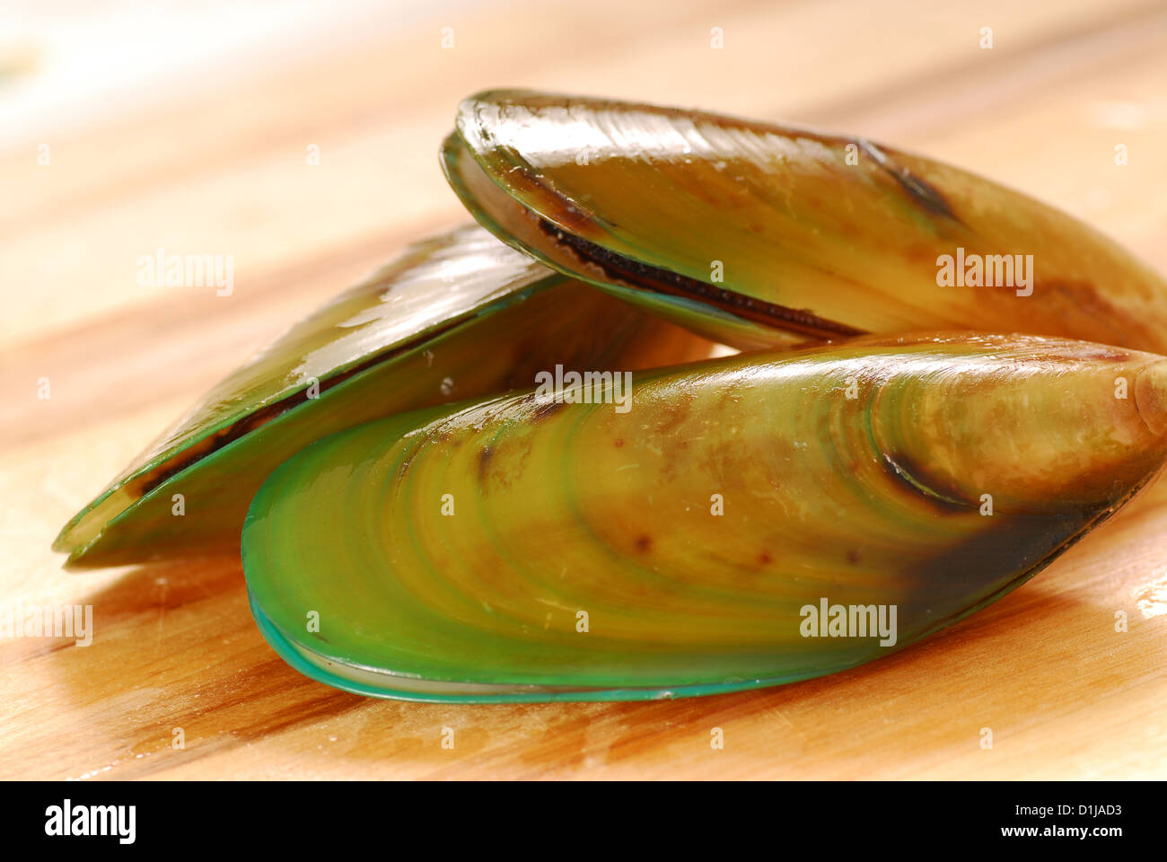 Green lip mussels new zealand hires stock photography and images Alamy
