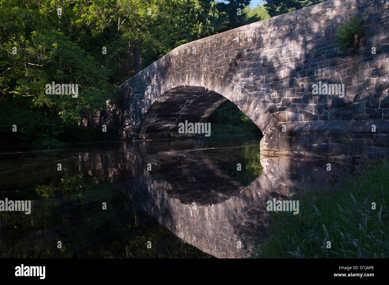 Bridge reflected in the Afon Elan river. Elan Valley, Wales. Stock Photo