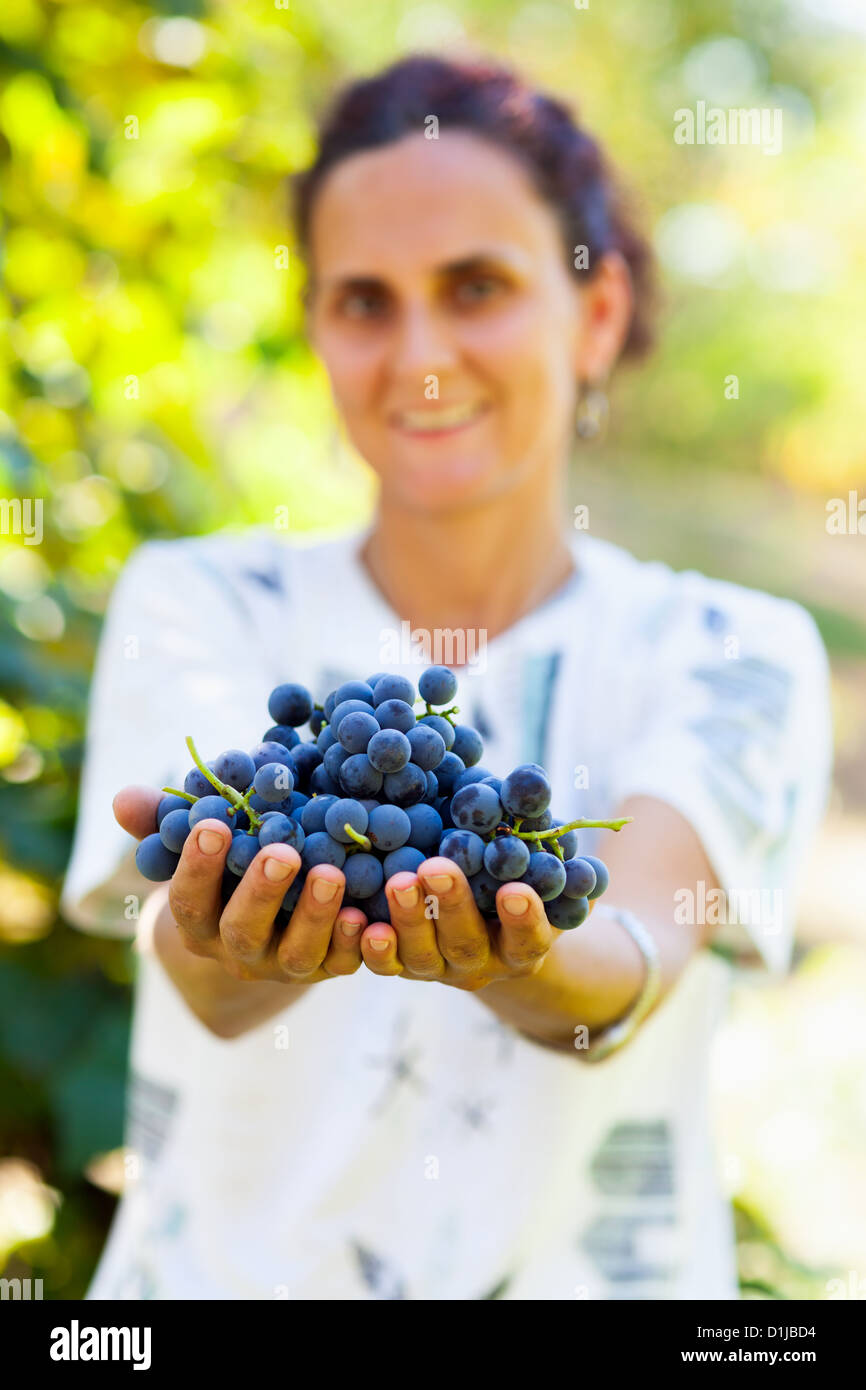 Young woman with hands full of bunches of blue grapes Stock Photo Alamy