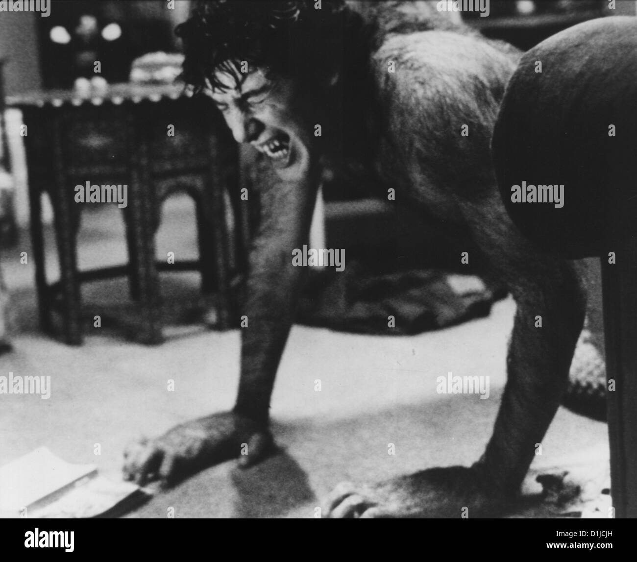 American Werewolf American Werewolf In London, An Szenenbild Stock Photo Alamy American Werewolf American Werewolf In London, An Szenenbild Stock Photo Alamy