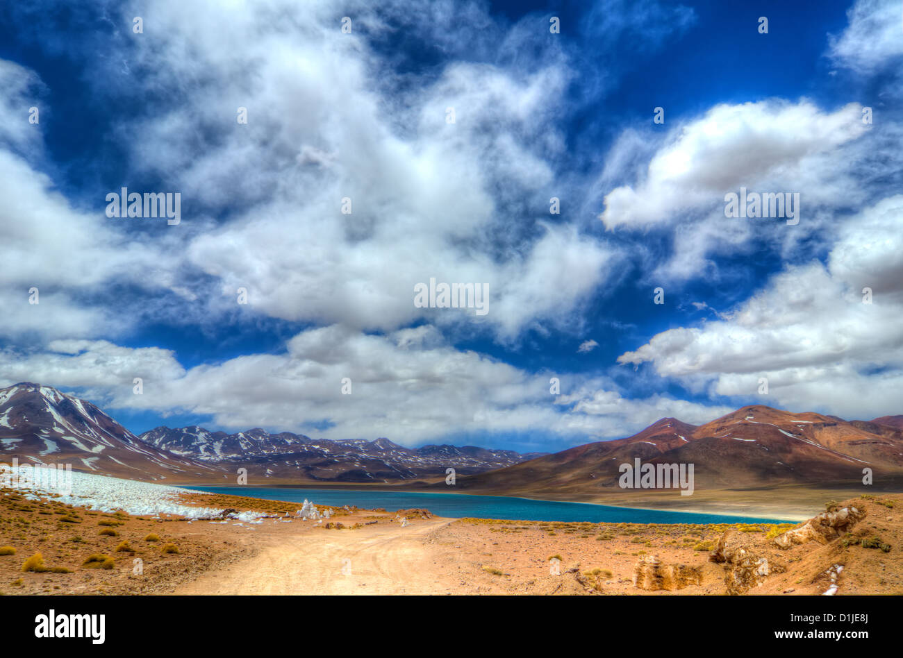 Laguna Miscanti and Miniques Lagoons in the Atacama Desert Stock Photo