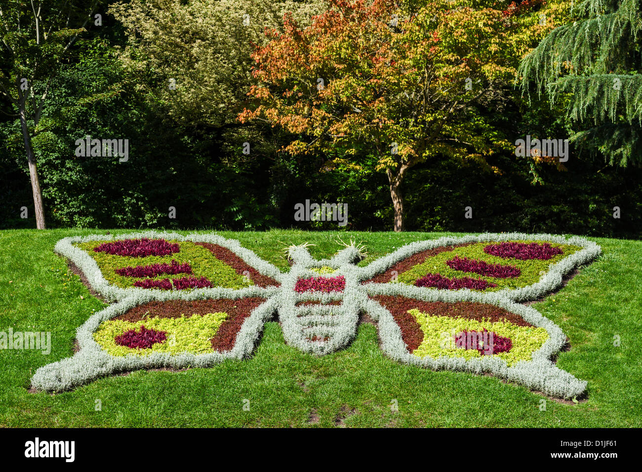Carpet bedding hi-res stock photography and images - Alamy
