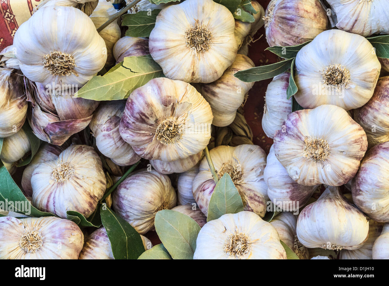 Fresh garlic on a heap at a local market Stock Photo