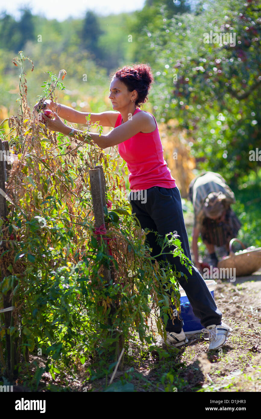 Full Length Portrait Of A Young Woman Working In Her Garden Stock Photo full-length-portrait-of-a-young-woman-working-in-her-garden-stock-photo