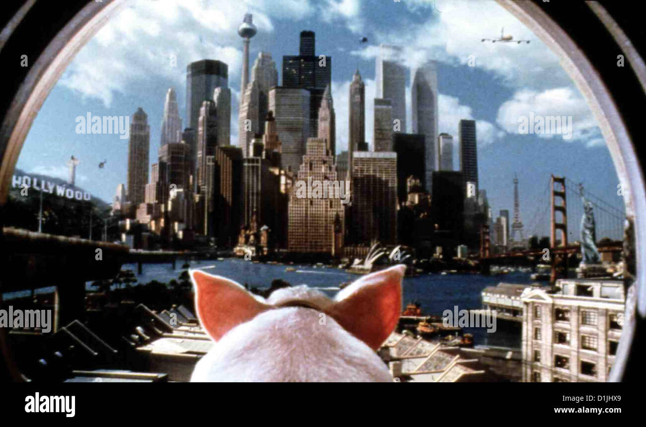 Schweinchen Babe In Der Grossen Stadt   Babe - Pig In The City   Babe in Szene *** Local Caption *** 1998  UIP Stock Photo