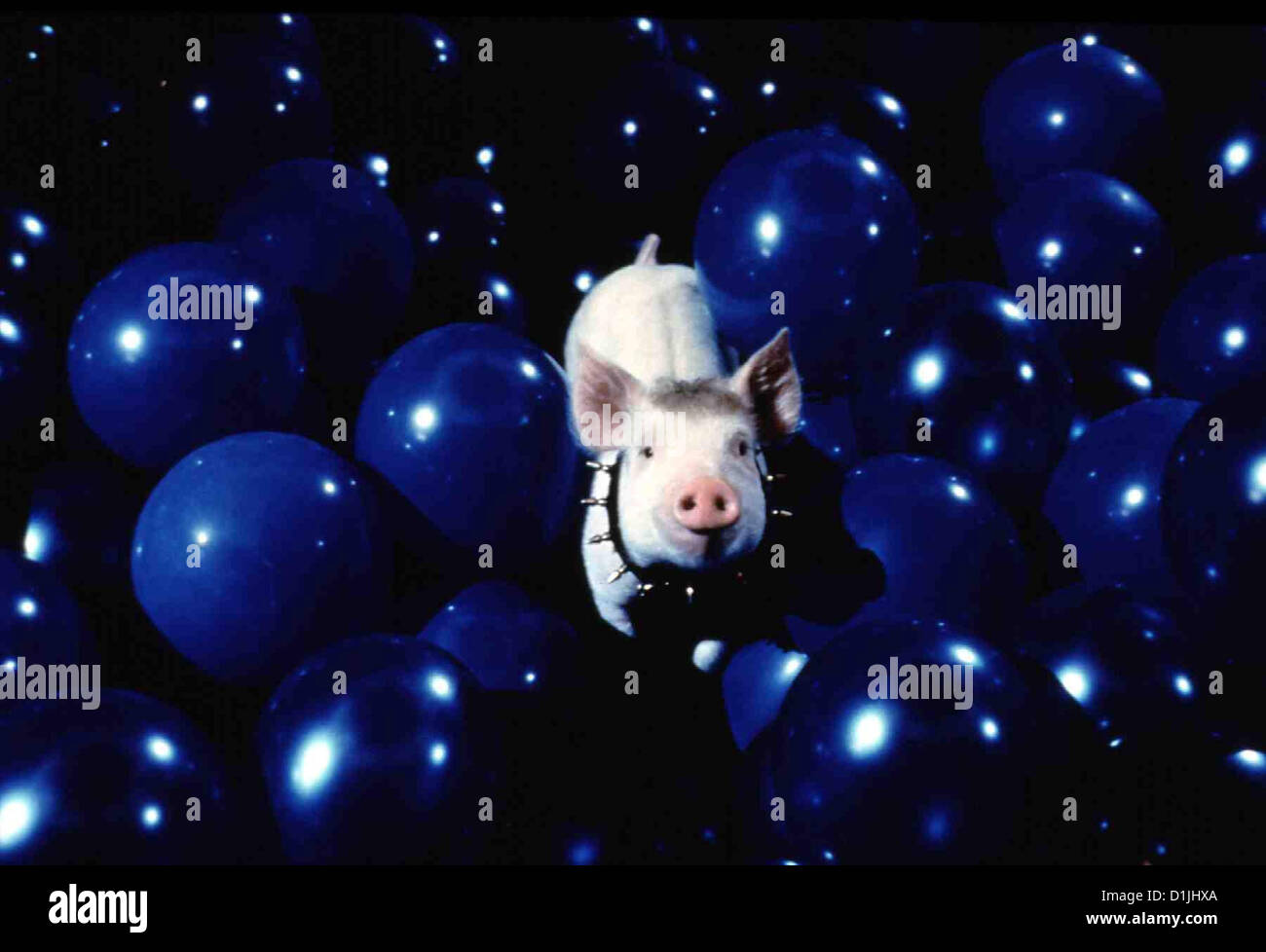 Schweinchen Babe In Der Grossen Stadt   Babe - Pig In The City   Babe in Szene *** Local Caption *** 1998  UIP Stock Photo