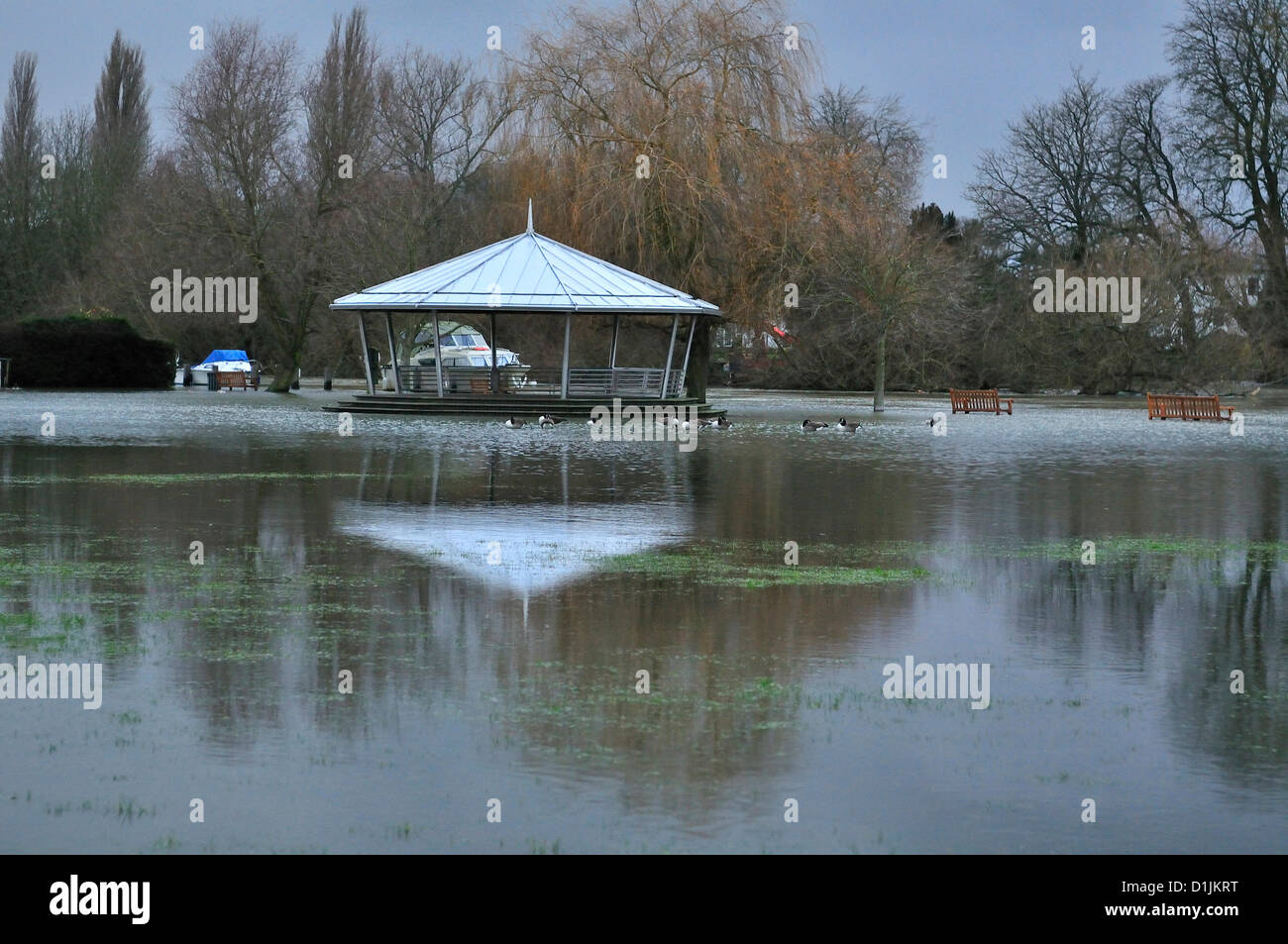 Henley-on-Thames Buckinghamshire   UK   16.00 GMT  20-12-2012    Traditional Christmas Day strolls along the Thames side tow path  and feeding the ducks at Mill Meadows ,Henley-on-Thames,  tthwarted by the rising flood waters (Note  the river Thames is between the bench and the Berkshire side of the river -as seen) the band stand in normally on Mill Meadows green Stock Photo