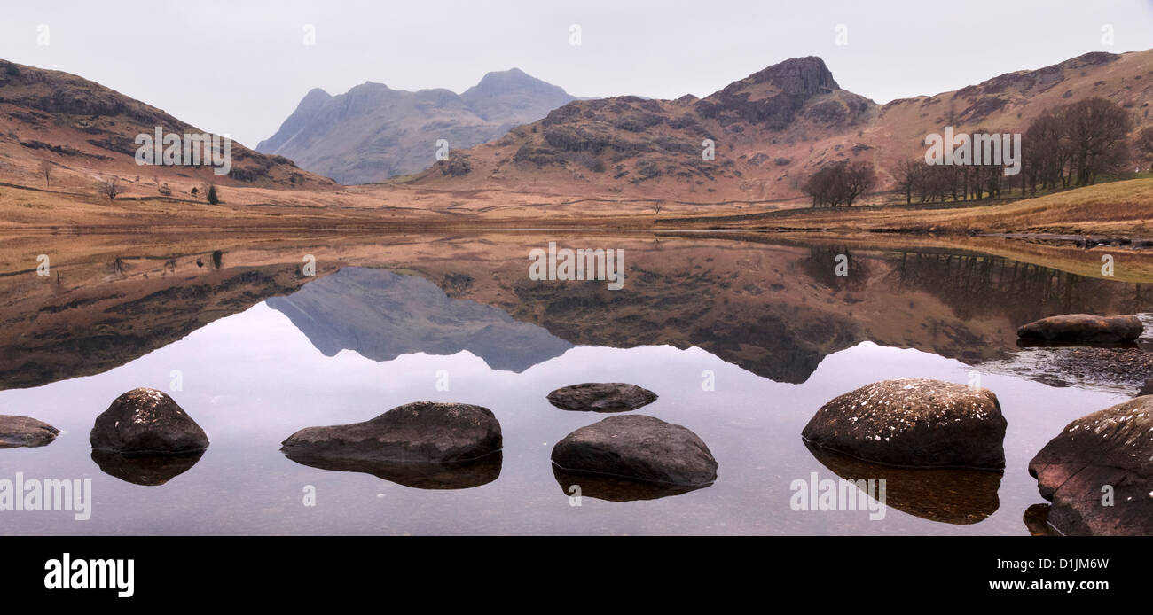 Reflections in still waters of Blea Tarn with Langdale Pikes beyond, Little Langdale, Cumbria, England, UK Stock Photo